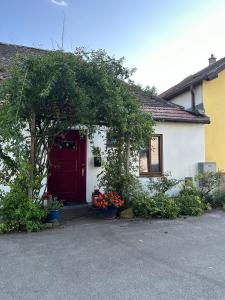 图尔恩Appartement Julis 1 in 3430 Tulln的白色的房子,有红色的门和植物