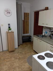 Kuchyň nebo kuchyňský kout v ubytování Apartmán u Váňů