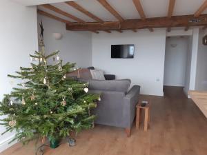 ein Weihnachtsbaum im Wohnzimmer mit Sofa in der Unterkunft Jasmine Cottage in Shrewsbury