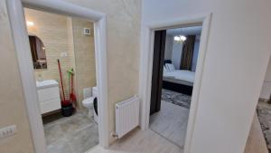 un bagno con un lavandino e un water in una stanza di Apartments Daria a Ploieşti Altre 28 foto