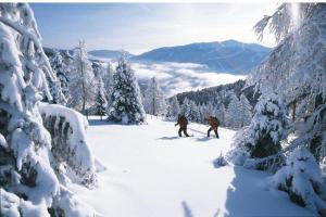 Panorama Retreat Nockblick - Ski, Hike & Relax v zime