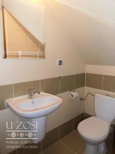 a bathroom with a white toilet and a sink at Pensjonat U Zosi in Male Ciche +29 photos