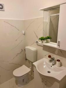 セニにあるBRIŠKULaのトイレと洗面台を備えた白いバスルーム