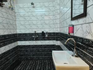 Bagno di Elephant Pushkar