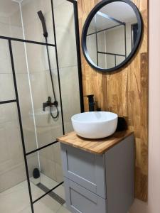 a bathroom with a sink and a mirror at Cozy Nest Rasnov in Râşnov +15 photos