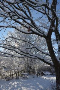 Le Temps d'une Fugue during the winter