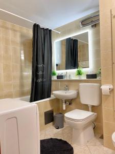 a bathroom with a toilet and a sink and a mirror at Apartman Neva ,prostrani stan u blizini mora in Pula +22 photos