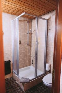 un bagno con doccia e WC di Hochdorfer Brauhaus Krone a Nagold