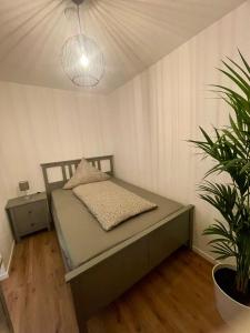 a bed in a room with a potted plant at Meerliebe in Cuxhaven