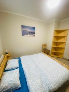 een slaapkamer met een bed en een boekenplank bij Apartament KROPELKA in Piechowice