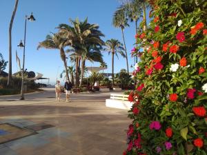 two people walking in a park with flowers and palm trees at Apartamentos Turísticos Casa de La Borrega in Estepona
