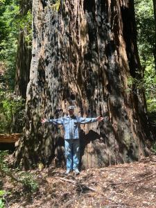 un hombre parado frente a un gran árbol en Quiet Peaceful Neighborhood, en Eureka