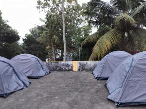 瓦尔卡拉The Hostel Stories, Varkala - Helipad Road的相册照片