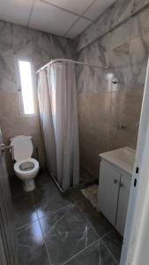 a bathroom with a toilet and a shower and a sink at Departamento moderno recién estrenado con balcon in Choele Choel