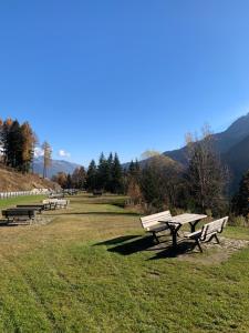 a row of park benches sitting in a field at Apartman276eu Passo del Tonale in Passo del Tonale