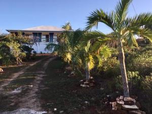 a house with palm trees next to a dirt road at House of Blue at Turtle Cove Long Island Bahamas in Long Island