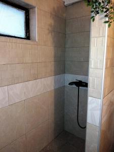 a bathroom with a shower with a sink at καλύβη in Portaria +19 photos