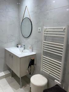 un bagno con lavandino, specchio e WC di Villa Bellevue a Belley