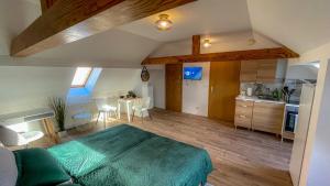 a large room with a bed and a kitchen at Apartment in Weißenfels bei Leuna mit WLAN & Terrasse in Weißenfels