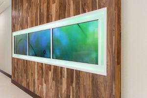 TV o dispositivi per l'intrattenimento presso SpringHill Suites by Marriott Fort Worth Fossil Creek