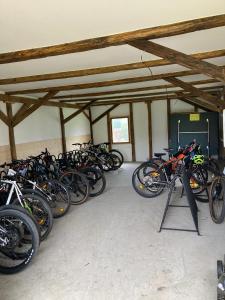 Gallery image of Penzion a restaurace Myslivna Kolence - Třeboňsko in Třeboň +40 photos