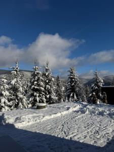 Carpathians View v zimě