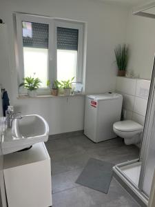 a bathroom with a sink and a toilet and windows at Maritime Einliegerwohnung in Schwaan