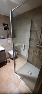 a bathroom with a shower and a toilet at Les mimosas in Saint-Aignan