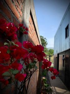 Gallery image of Espacio Yungas in Tafí Viejo