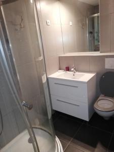 a bathroom with a shower and a sink and a toilet at Studio au pied des pistes in Bagnères-de-Bigorre +37 photos