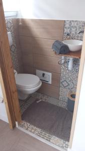 ein Badezimmer mit Toilette und Waschbecken in der Unterkunft La petite cabane in Villebarou + 4 Fotos