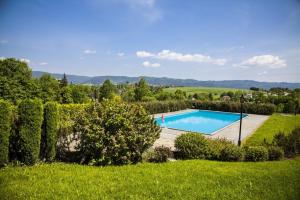 a swimming pool in the middle of a yard at Rychwałd - Full House! in Rychwałd
