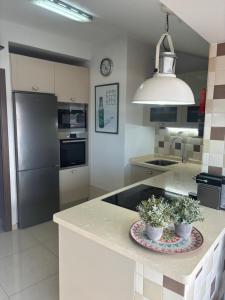a kitchen with a counter with two potted plants on it at Atico acogedor con vistas in Telde