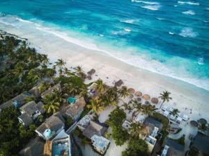 an overhead view of a beach with palm trees and houses at Tulum jungle penthouse in Chemuyil +27 photos