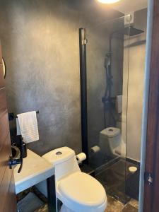 a bathroom with a toilet and a glass shower at Tulum jungle penthouse in Chemuyil