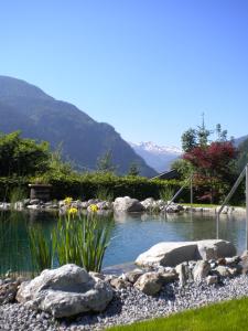 un estanque con rocas y montañas en el fondo en Haus Katharina, en Bad Hofgastein