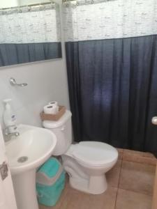 ein Badezimmer mit einer weißen Toilette und einem Waschbecken in der Unterkunft Cabaña Bungalow SPA pasaje Las Pataguas in Quillón