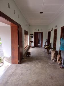 a group of dogs standing in a hallway at GalleRetreat in Galle +23 photos