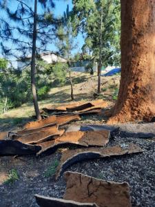 Um jardim no exterior de Quinta Quatro Ventos