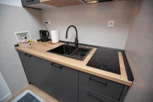Apartman studio GRUBAC في تريبينيي: مطبخ صغير مع حوض و كونتر توب +35 صورة
