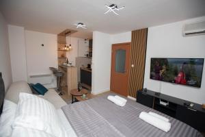 Apartman studio GRUBAC في تريبينيي: غرفة نوم مع سرير وتلفزيون بشاشة مسطحة