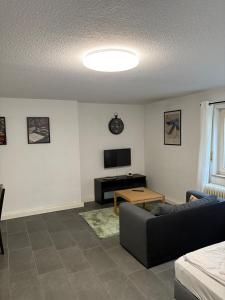 a living room with a couch and a television at City Retreat - Wohnung im ruhigen Hof in Karlsruhe +3 photos