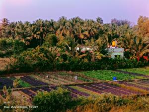 Κήπος έξω από το Ocean pearl Homestay near Kasarkod beach Honnavar