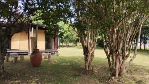 a small house with a vase next to two trees at Cabañas La Serena in Chicoana
