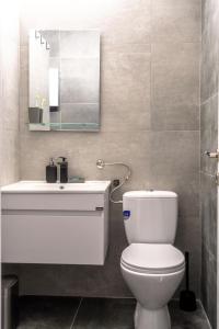 um banheiro com um vaso sanitário branco e uma pia em Studio Bele Staze Central em Brzeće