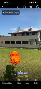 una pantalla de videojuegos con una flor frente a un edificio en Hostel quartos privados Ouvidor, en Garopaba