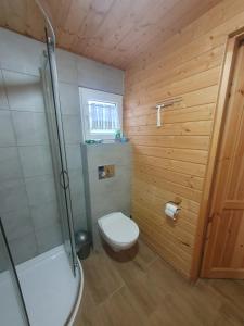 a small bathroom with a toilet and a shower at Opawski Zakątek 43 in Pokrzywna +63 photos