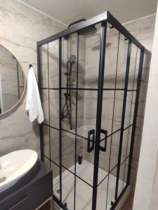 a glass shower in a bathroom with a toilet at Studio apartman Čolić - Kupres in Kupres +10 photos