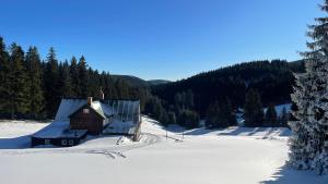 a house in the snow with trees in the background at Bouda Vlkoš in Horní Malá Úpa
