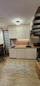 Una cocina o cocineta en Green Hill Isidorovic Divcibare ll